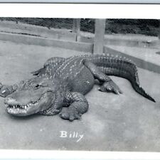 c1950s Los Angeles, CA Billy Alligator RPPC Cali Farm Celebrity Real Photo A130 picture