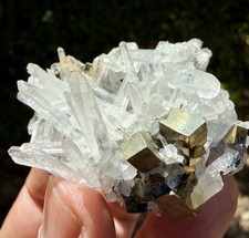 Rare Pyrite On Quartz From Peru , 6cm, 40gm picture