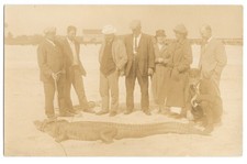RPPC Group w/ Large Alligator Roped Sanford FL c1918 Real Photo Postcard picture