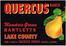ORIGINAL PEAR CRATE LABEL LAKE COUNTY QUERCUS RANCH KELSEYVILLE VINTAGE BLACK 4  picture