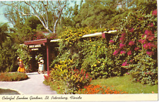 Colorful Sunken Gardens-St. Petersburg, Florida FL-unposted vintage postcard picture