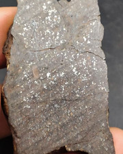 23g H5 type NWA Northwest non classical chondrite slice meteorite picture