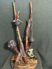Vintage German Volksmarch Oversized Burl Wood Presentation Smoking Pipes (Pair) picture