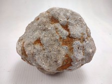 Unopened Kentucky Geode 4 Inch 2.6 LB Natural Gray White Knobby Exterior picture
