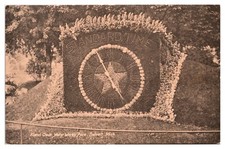 ANTQ Floral Clock, Water Works Park, Detroit, Michigan Postcard picture