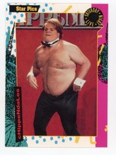 Saturday Night Live Star Pics You Choose, U pick Farley Sandler Meyers Chase picture
