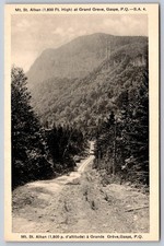 Mt. St. Alban Grand Greve Gaspé Quebec H V Henderson Postcard PC391 picture