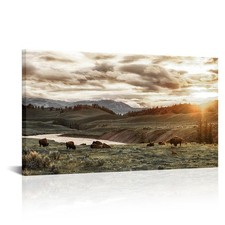 RnnJoile Buffalo Canvas Wall Art Large Herd of Bison Picture Painting Yellows... picture