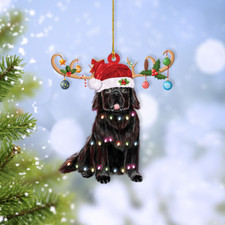 Newfoundland Dog Merry Christmas Ornament, Newfoundland Dog Xmas Lights Ornament picture