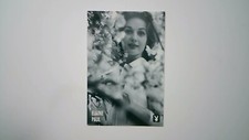 1996 Playboy Centerfold Collector Card August #20 Elaine Paul picture