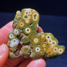 TOP 19g Natural Orbicular  Ocean Jasper  Crystal  Stone Healing L4409 picture