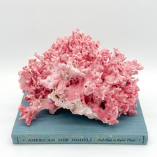 Rare Large Vintage Pink California Hydrocoral Specimen Estate Allopora Coral 10” picture