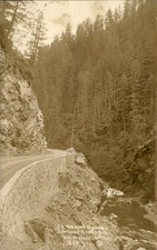 CA Redwood Highway c1900s-10s Real Photo Vintage Postcard picture