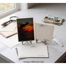 Vintage 1977 Postcard Coastal Sunset Silhouetted Tree Impact Photo Prints 4011 picture