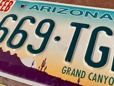 Arizona 1990s Saguaro Cactus, AZ License Plate No 669-TJK Colorful Paint, NICE picture