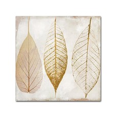 Fallen Gold Ornate Frame II by Color Bakery 35x35-Inch Canvas Wall Art picture