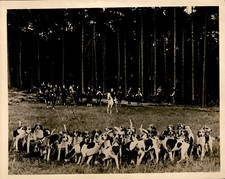 GA226 Approx 1920s Orig Underwood Photo FIRST FOX HUNT OF PARFORCE CLUBS BERLIN picture