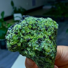 322G Natural and rare beautiful museum grade olive green olivine crystal picture