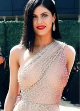 Alexandra Daddario Posing In Transparent Dress 4x6 PHOTO PRINT picture