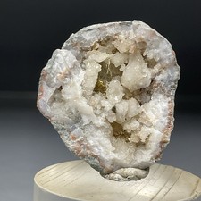SS Rocks - Millerite with Quartz (Halls Gap, Lincoln Co, Kentucky) 5.12g picture