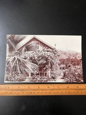 Real Photo 5x8 Santa Catalina Island California Residence Scene w/ Roses c. 1910 picture