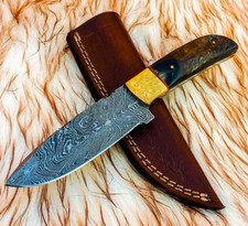 SHARD Custom Damascus Steel EDC Skinner – Handmade Fixed Blade Knife Ram Handle picture