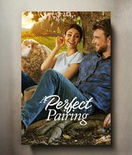 A Perfect Pairing 8x12 Metal Movie Poster Sign picture