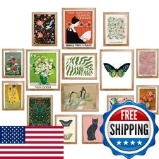LANCHI95 Eclectic Framed Wall Art Set of 15 Vintage Maximalist Prints picture
