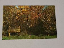 Vintage Postcard - Vermont - Long Trail Green Mountain Club VT Un- Posted #822 picture