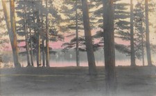 J13/ Lowville New York RPPC Postcard c1910 Lakeshore Trees  129 picture