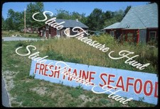 Fresh Maine Seafood Sign Roadside 35mm Slide 1970s picture