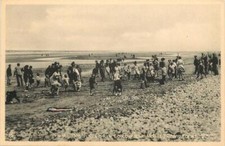 Kinmel Bay Foryd Wales View Of Private Beach OLD PHOTO picture