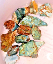 218g Lot = 12x Oregon Skaggs Green Jasper Chunks Lapidary Rough Tumbler SKG#002 picture