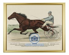 CHAMPION TROTTING QUEEN ALIX WASHINGTON PARK CHICAGO 1893 8X10 GOLD FRAMED PHOTO picture