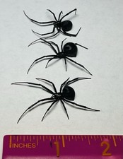 3 pcs Wet Specimens Western Black Widow Latrodectus Hesperus Preserved 70% Alc picture