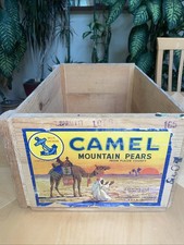 ORIGINAL PEAR CRATE W/ CAMEL VINTAGE DESERT NOMADS California Fruit Co 19”x10” picture