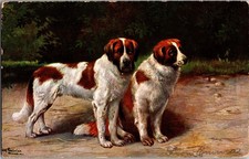 Saint Bernard Dogs Pair Vintage 1907 German Art Postcard St Bernard picture