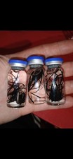 Parasite In A Vial picture