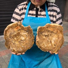 2pcs 6.66LB Natural Petrified Wood Crystal Fossil Slice Crystal Specimen 6170 picture