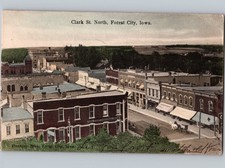 c1909 Clark St Looking North FOREST CITY Iowa IA Street View Winnebago County picture