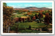 MT. SADDLEBACK Sandy River Valley MAINE Vintage American Art Postcard BB48 picture
