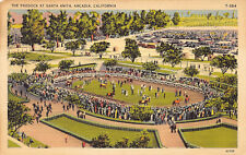 Arcadia, California The Paddock at Santa Anita Horse Race Track postcard linen picture