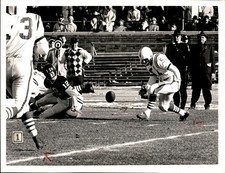 LD408 1963 Original Michael Mauney Photo MSU QUARTERBACK SONNY FISHER LOSES BALL picture