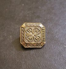 Small Vintage 4H Second Pin or Badge #W146 picture