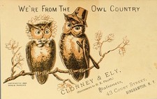 Antique 1882 Owl Trade Card Clonney & Ely Stationers Binghamton NY Hard Parsons picture