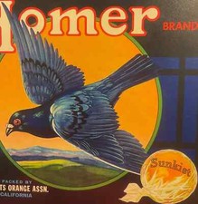 Vintage 1940s Homer Pigeons Crate Label 🕊️ Corona, CA, WWII Tribute, Green picture