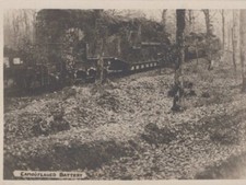 WW1 AEF Camouflaged Battery Europe 1917 - Original Photo picture