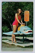 Weeki Wachee FL-Florida, Underwater Follies Mermaid Show, Vintage Postcard picture