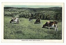 Greetings From Bennington NY 30's Postcard Dairy Cows in pasture VNTG New York  picture