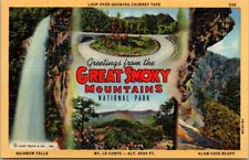 Greetings from The Great Smoky Mountains National Park Vintage Postcard Unposted picture